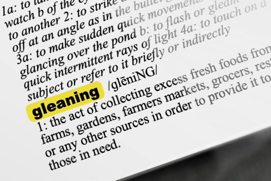 Good Food Glossary: Gleaning
